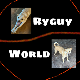 Ryguy World