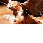 cool eagles aka cool