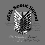 45th Scout Squad