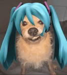 ! Zee