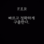 F.E.R 특수부대