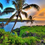 HawaiiansPride808