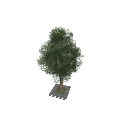 tree with grass (дерево с землей)