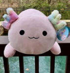 Squishmallow official squad