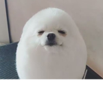 Esto es para amigos UwU