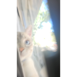 ……!