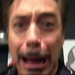 Cart Ride Into RDJ