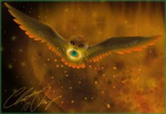 The owls of Ga'Hoole and fans