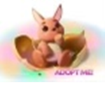 *•Adopt Me Trades•*
