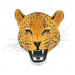CheetahNation