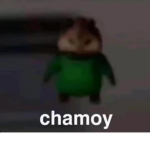 Chamoy.
