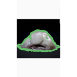 Neon blobfisch gang