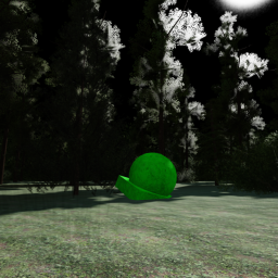 The Shape Forest