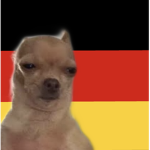 Doges and friends' club