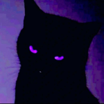 Murder mysterry xd