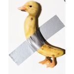 BananaDuckssss