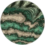 PRISMATIC Tectonic Saurophaganax Unlocked! Roblox badge thumbnail