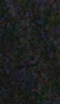 chloeelol