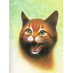 Warrior cats club RP