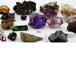 Busca los minerales icon