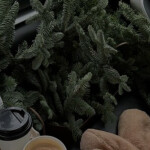 ‧˚🎄˚‧✩ ‧˚ ♡