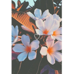 The sunshine_cutes