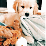 Luna and Lily