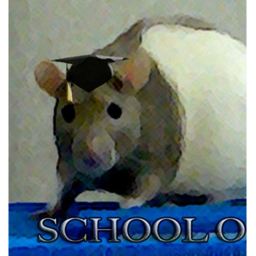 Rat High