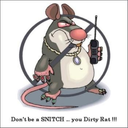 Rat's🧀
