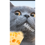 meow cheese :3