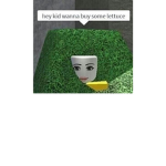 Aureus Hangout