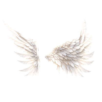 ANIMATED Angel & Devil Wings Black White Halloween