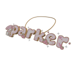 parker necklace 3.0