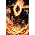 King OF The Anime