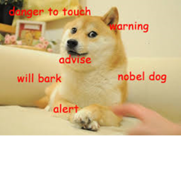 for the doges
