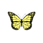 ~Butterfly Vibez~
