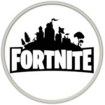 Fortnite BR Group