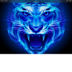 WE ARE TiGER PACK