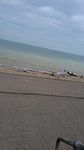 Always be a bunny