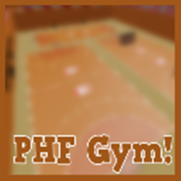PHF Handball Gym!
