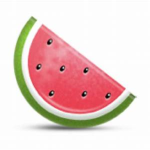 WATERMELONNNN CLAN
