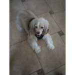 Me give ro