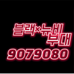 블랙뉴비 부대
