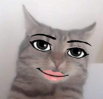 cat lover shop
