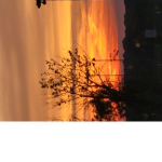 Midnight sky sunset group