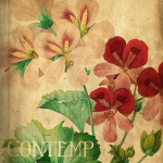 contemp