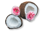 PinkCoconut Fan Group