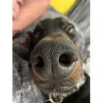 austingamesue