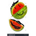 Fruity family