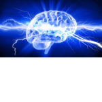Project Electricity